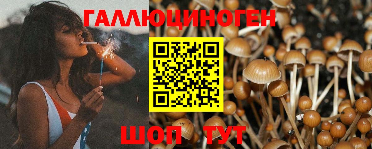 Галлюциногенные грибы мухоморы  Галлюциногенные грибы GOLDEN TEACHER  Вход с VPN  Лесозаводск 